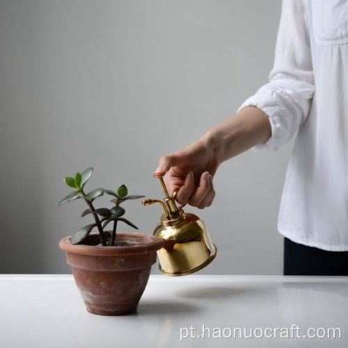 ouro doméstico britânico rega flor pequena rega